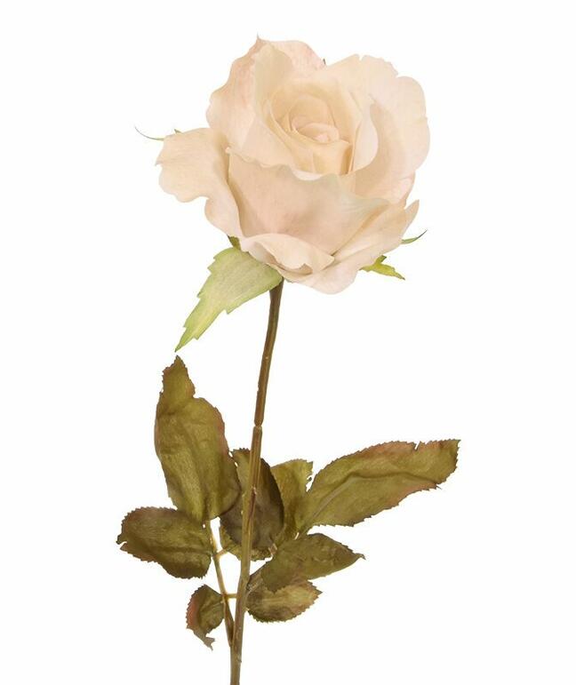 Ramo artificiale Rosa crema 60 cm