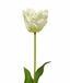 Ramo artificiale Tulipano crema 70 cm