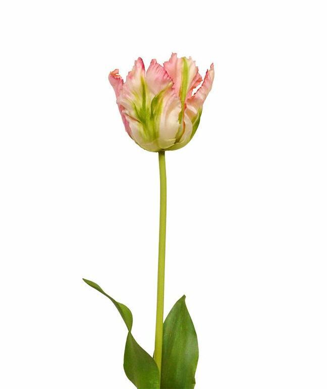 Ramo artificiale Tulipano verde-rosa 70 cm
