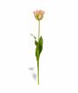 Ramo artificiale Tulipano verde-rosa 70 cm