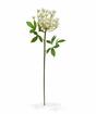 Stelo artificiale Crema di aneto 55 cm