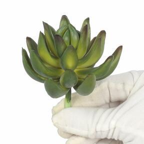 Succulente artificiale Echeveria verde 10 cm