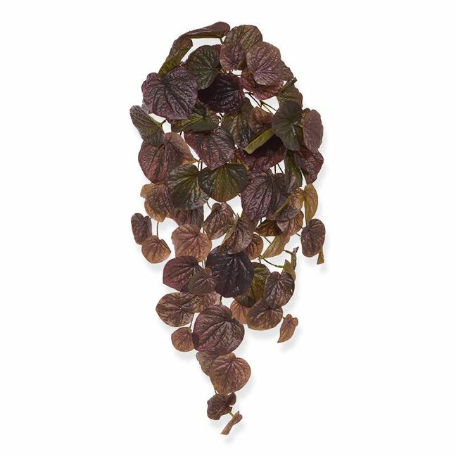 Viticcio artificiale Peperomia bordeaux 60 cm