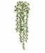 Viticcio artificiale Peperomia rotundifolia 80 cm
